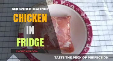 Leftover Chicken: Fridge Safety and Food Poisoning