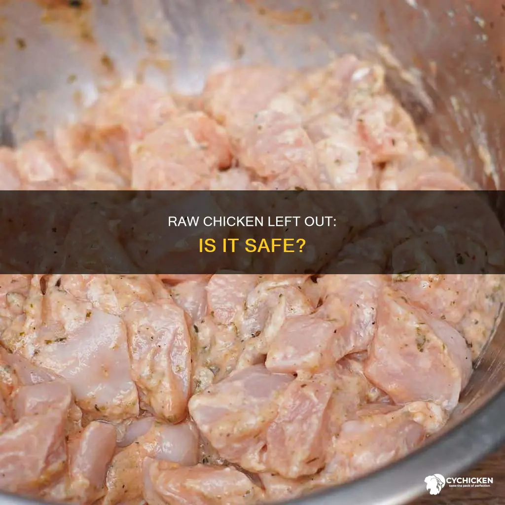 what happens if i leave raw chicken out overnight