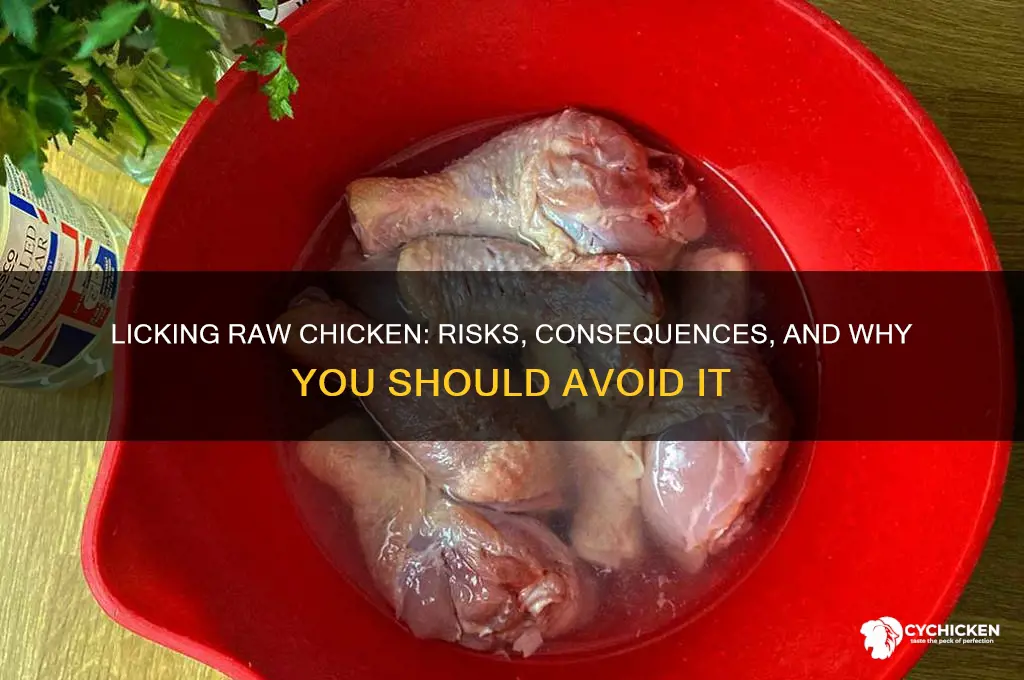 what happens if i lick raw chicken