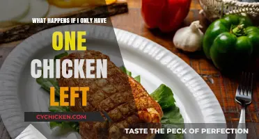 Last Chicken Standing: Strategies for Solo Poultry Keeping