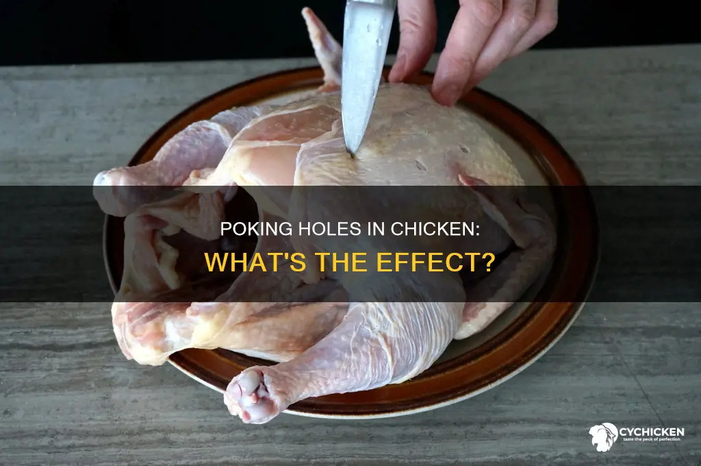 what happens if i poke holes into a chicken