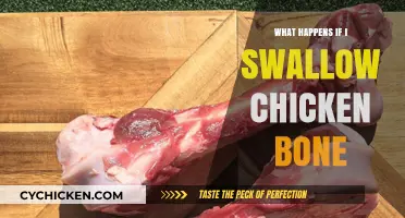 Swallowed a Chicken Bone? What to Expect and When to Worry