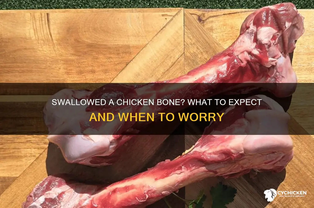 what happens if i swallow chicken bone