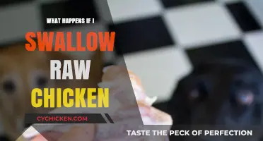 Swallowing Raw Chicken: Risks, Symptoms, and What to Do Next