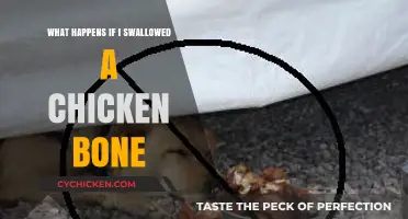 Swallowed a Chicken Bone? What to Expect and When to Worry