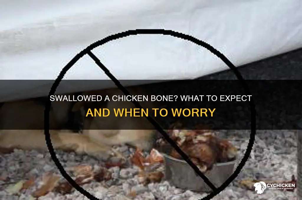 what happens if i swallowed a chicken bone