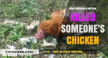 Dog Owners Face Legal Consequences for Chicken Killing