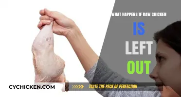 Raw Chicken Left Out: Risks, Spoilage, and Food Safety Concerns