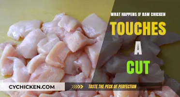 Raw Chicken on a Cut: Risks, Reactions, and What to Do