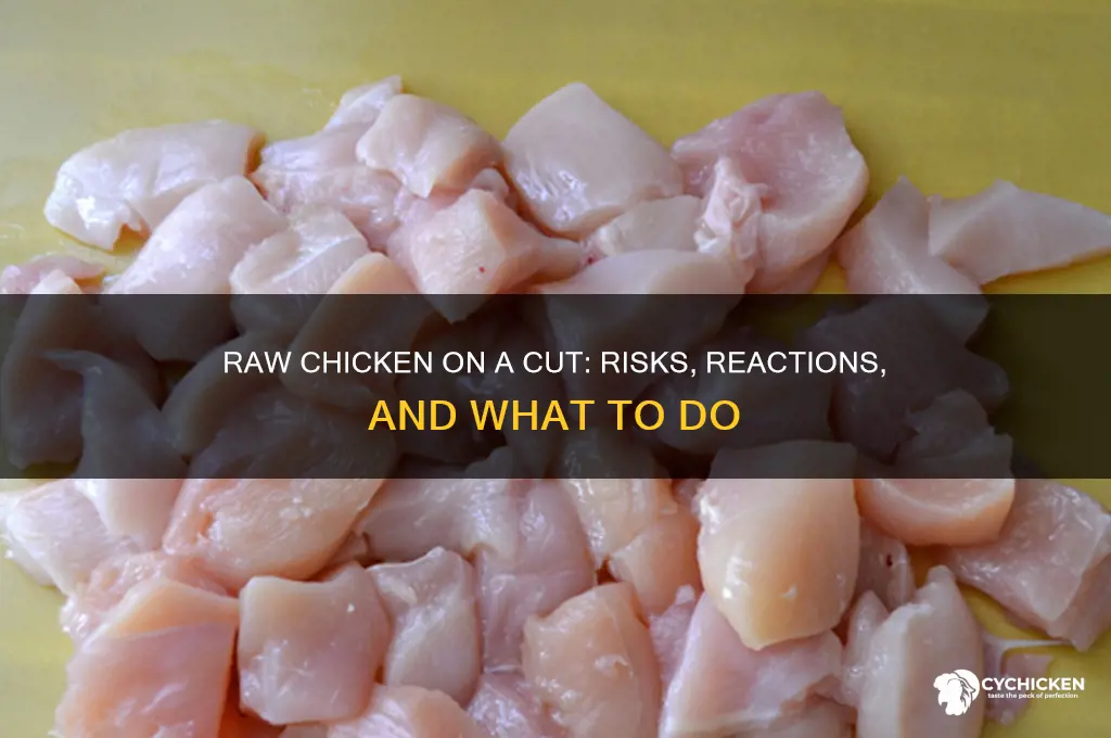 what happens if raw chicken touches a cut