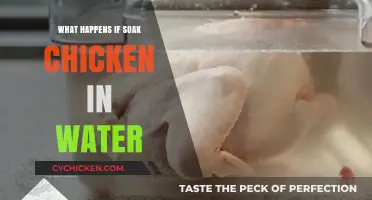 Soaking Chicken in Water: Risks, Benefits, and Proper Techniques Explained