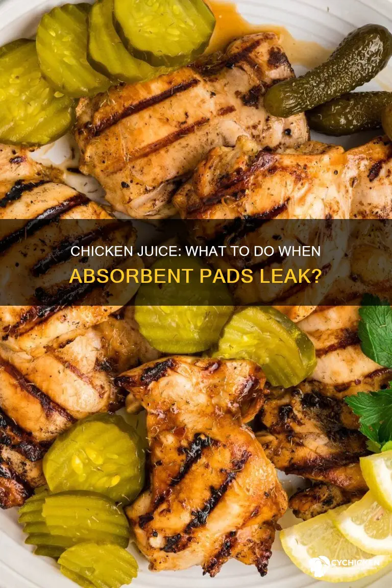 what happens if the absorbent pad in chicken broke