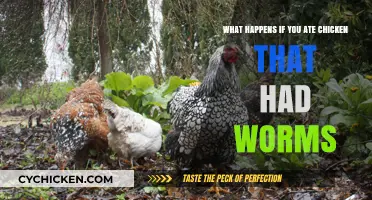 Chicken Worm Infestation: What Are the Risks?