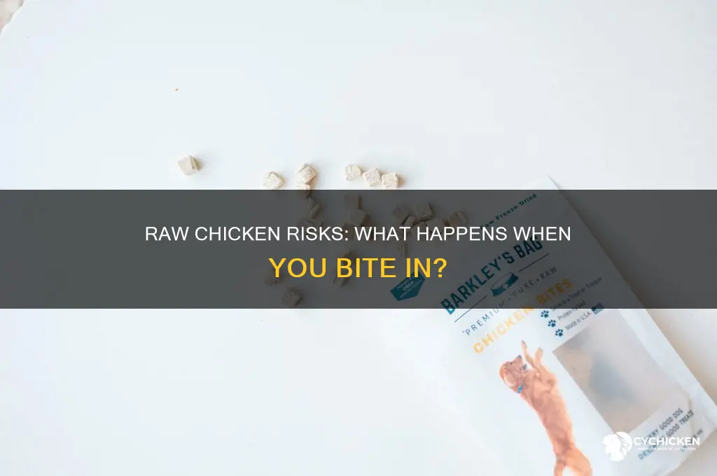 what happens if you bite into raw chicken
