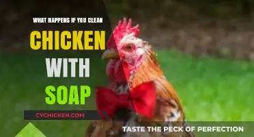 Cleaning Chicken with Soap: Risks, Myths, and Safe Practices Explained