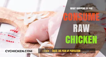 Raw Chicken Risks: Health Dangers and Consequences of Consuming Uncooked Poultry
