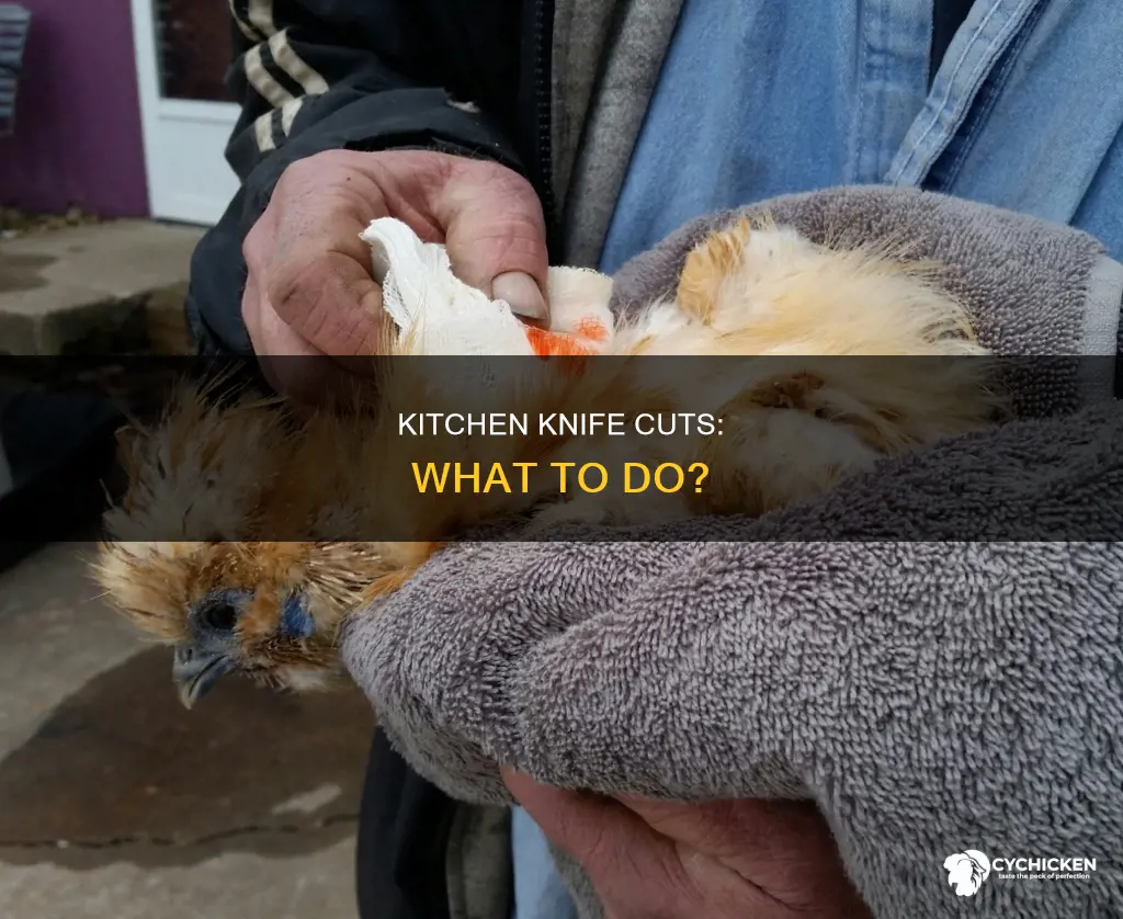 what happens if you cut yourself while cutting chicken