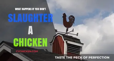 The Unspoken Impact of Not Slaughtering Chickens