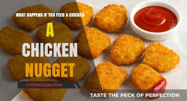 Can Chickens Eat Chicken Nuggets? Unraveling the Poultry Paradox