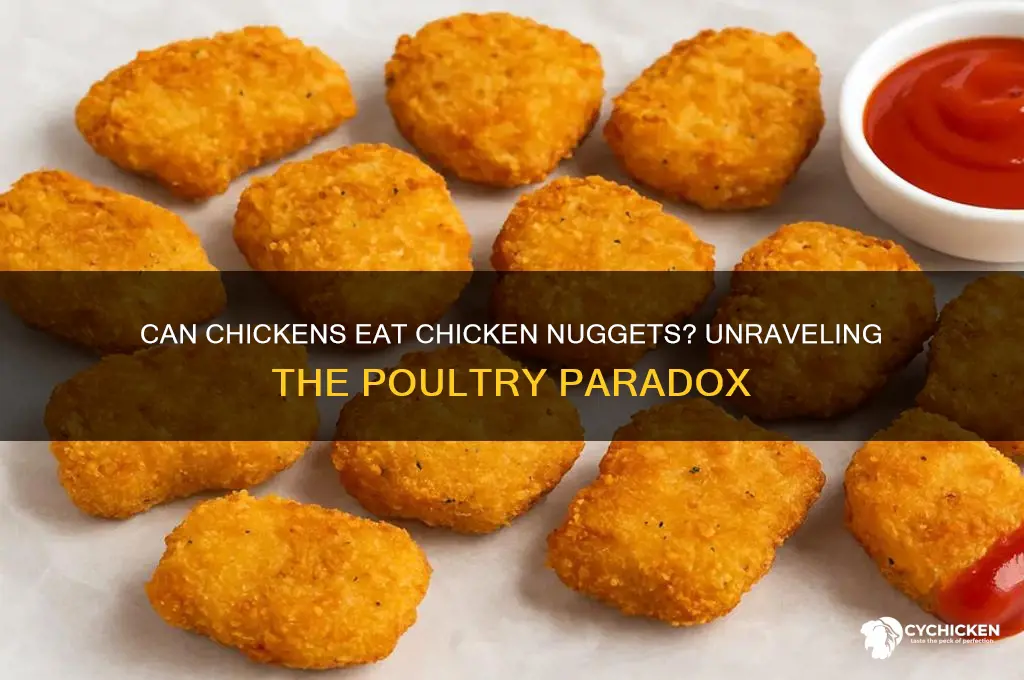 what happens if you feed a chicken a chicken nugget