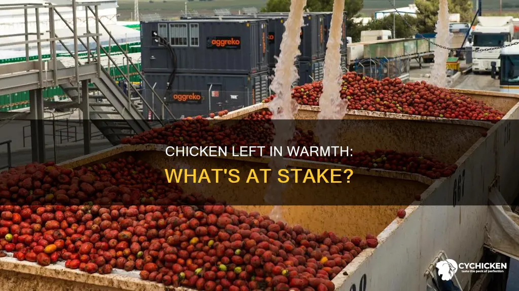 what happens if you leave chicken in a warm spot