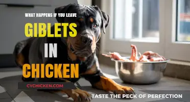 Leaving Giblets in Chicken: Risks, Safety, and Culinary Consequences Explained