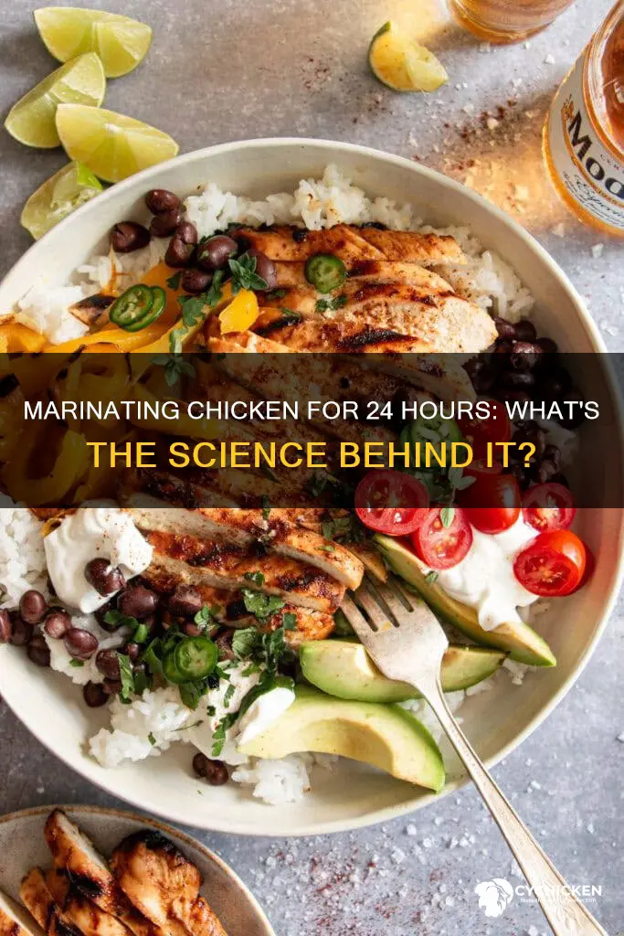 what happens if you marinate chicken for 24 hours