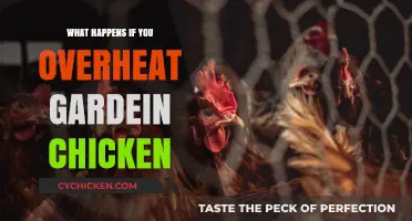 Overheating Gardein Chicken: Risks, Results, and Recovery Tips
