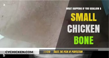 Swallowed a Small Chicken Bone? Here's What You Should Know