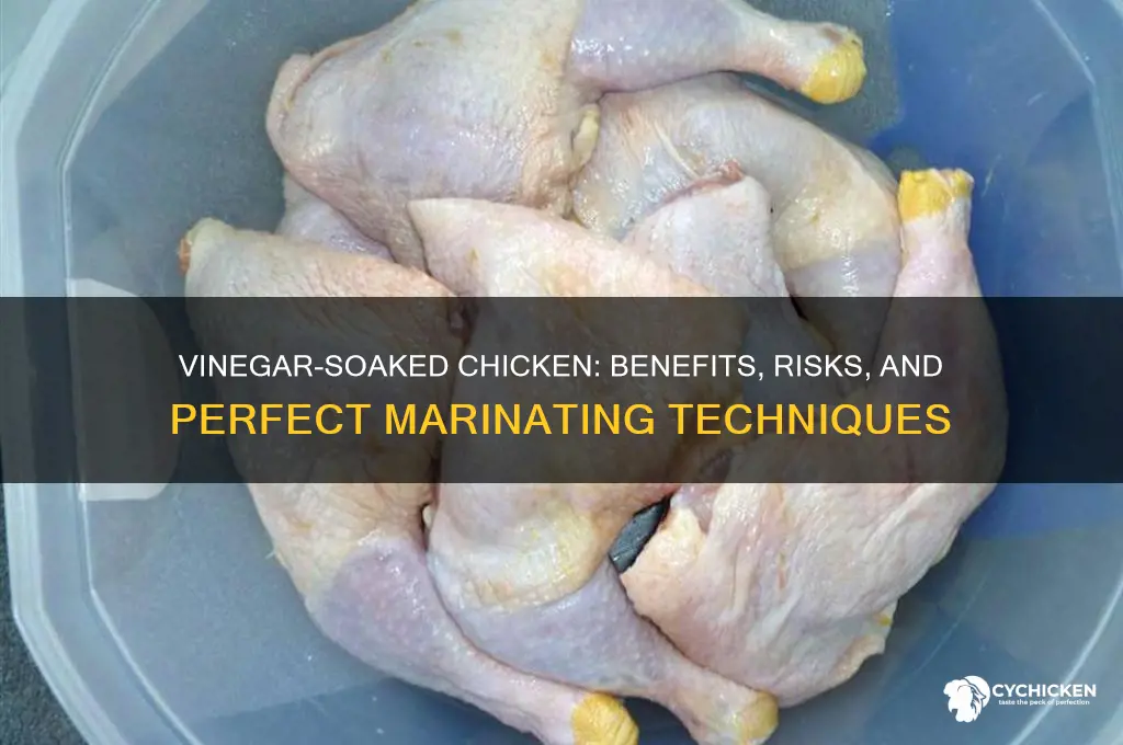 what happens if you soak chicken in vinegar