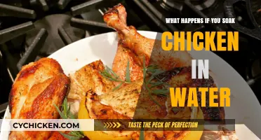 Soaking Chicken in Water: Benefits, Risks, and Best Practices Explained