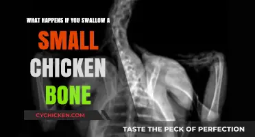Swallowing a Small Chicken Bone: What's the Danger?