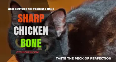Swallowing Chicken Bones: What Are the Risks?