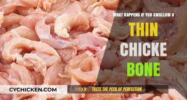 Swallowing Chicken Bones: What Are the Risks?