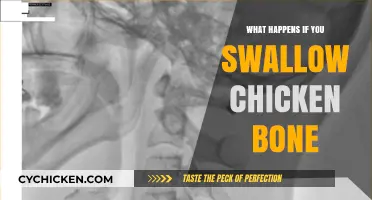 Swallowed a Chicken Bone? What to Expect and When to Worry