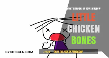 Swallowing Small Chicken Bones: Risks, Symptoms, and Safe Remedies Explained