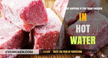 Thawing Chicken in Hot Water: What You Need to Know