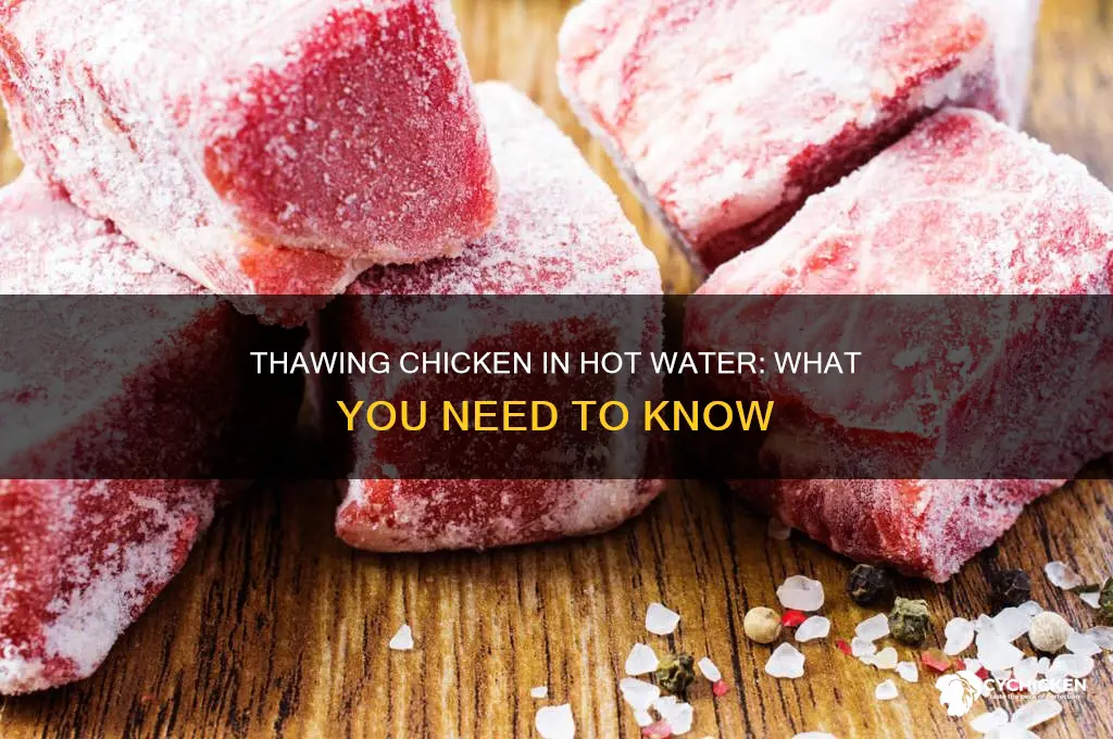 what happens if you thaw chicken in hot water