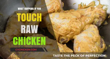 Touching Raw Chicken: Risks, Precautions, and Safe Handling Tips