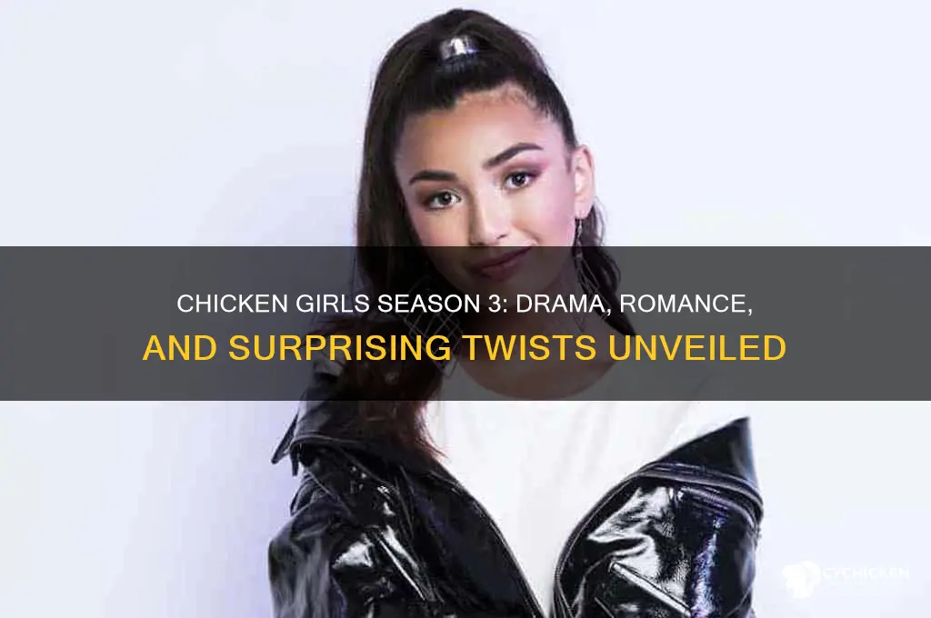 what happens in chicken girls season 3