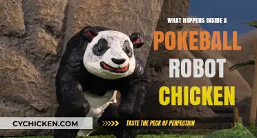 Inside the Pokéball: Robot Chicken's Hilarious Pokémon Parody Explained