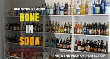 Soda's Surprising Effect on Chicken Bones: A Fizzing Experiment