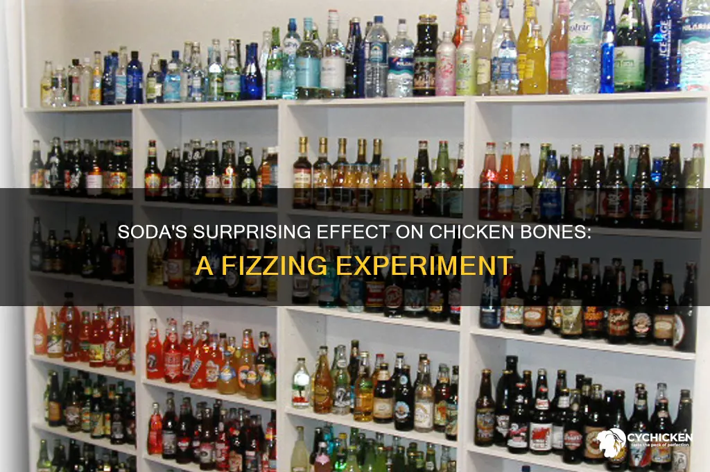 what happens to a chicken bone in soda