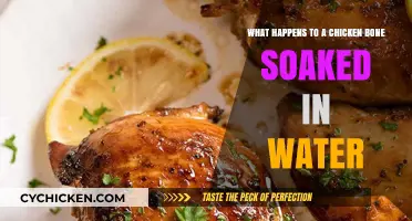 The Mystery of Chicken Bones in Water