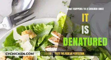 Denaturing Chicken: What's the Science Behind It?