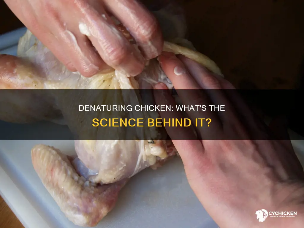 what happens to a chicken once it is denatured