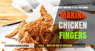 Chicken Finger Mystery: Where Do Bones Go?