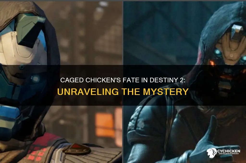 what happens to caged chicken in destiny 2