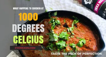 Extreme Heat: What Happens to Chicken at 1000 Degrees Celsius?