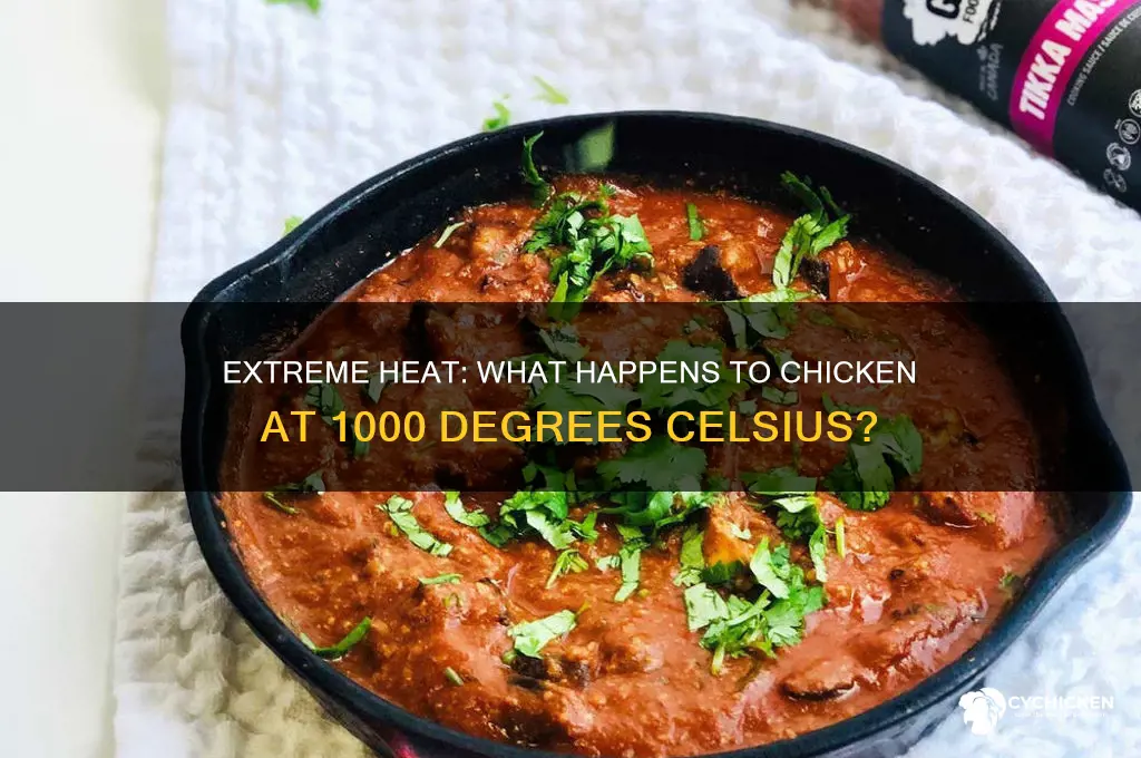 what happens to chicken at 1000 degrees celcius